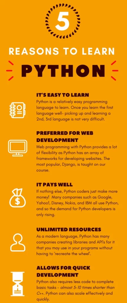 Mastering Python Essential Tips for Effective Learning